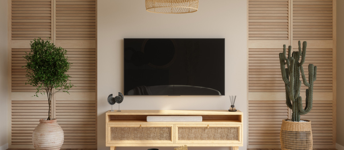 Televisión