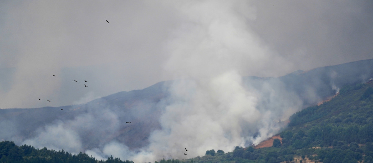 El incendio declarado en Veguellina (León) avanza hacia la localidad de Moreda (León)