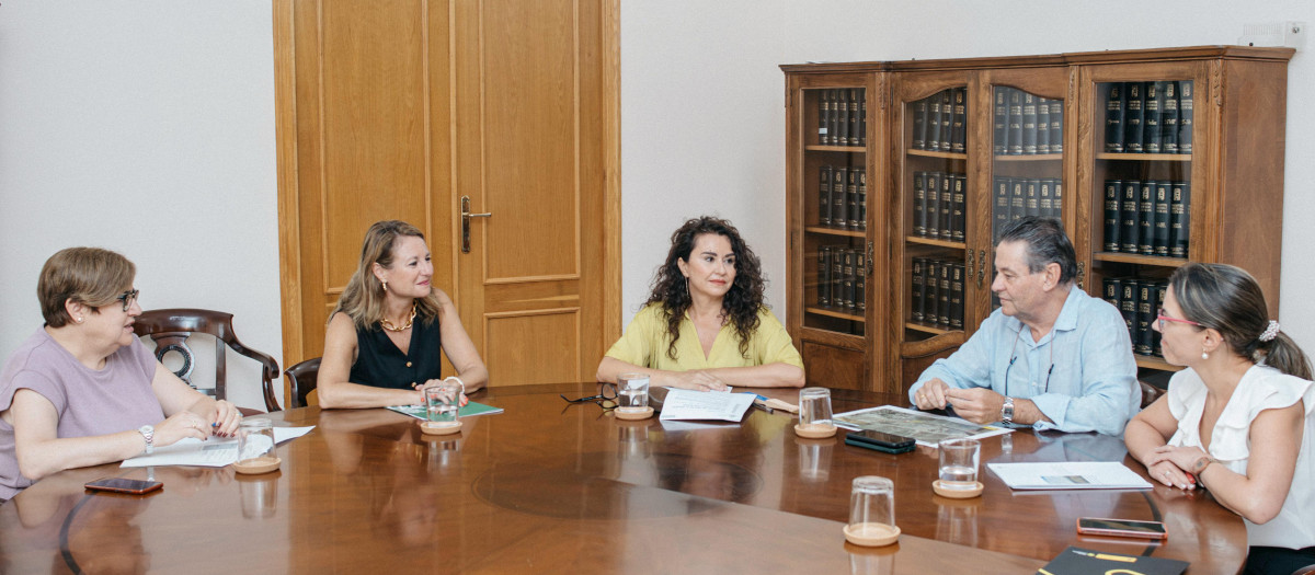 Imagen de Begoña Carrasco en la reunión con la Subdelegación del Gobierno sobre la N340