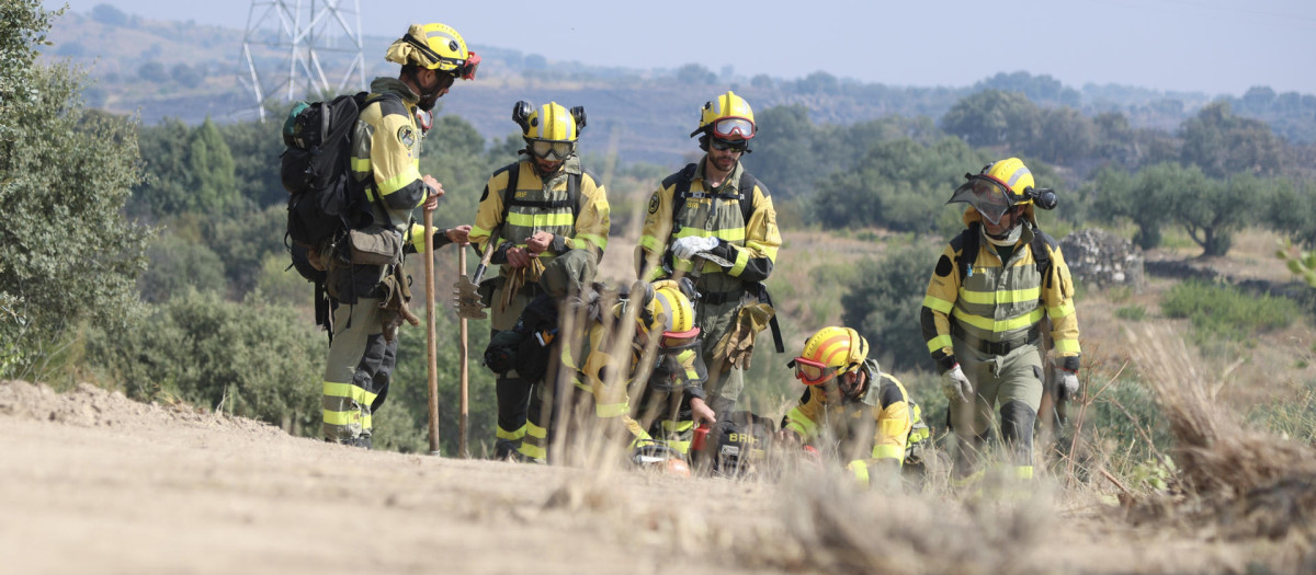 Efectivos del operativo antiincendios, este viernes, en Fermoselle, Zamora