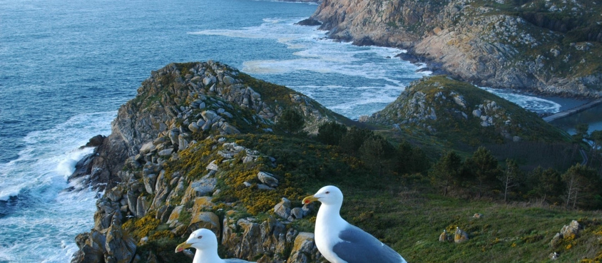 El mejor lugar de Galicia para ver el eclipse total de Sol del 12 de agosto: las Islas Atlánticas preparan un programa especial