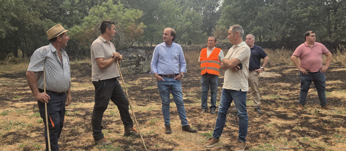 El consejero de Agricultura, Ganadería, Medio Rural y Política Ambiental, Joaquín Antonio Pino, visita el Valle de Iruelas y otros terrenos afectados por el incendio de la provincia de Ávila