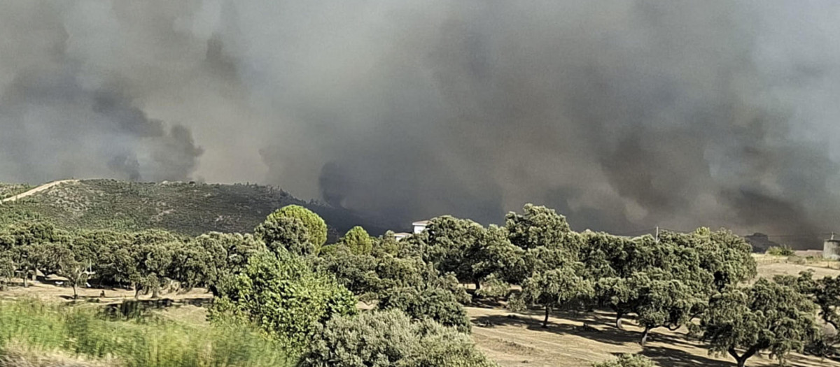 Dieciocho medios aéreos participan en las labores de extinción del incendio forestal originado este sábado por un camión ardiendo en la Autovía de la Plata (A-66)