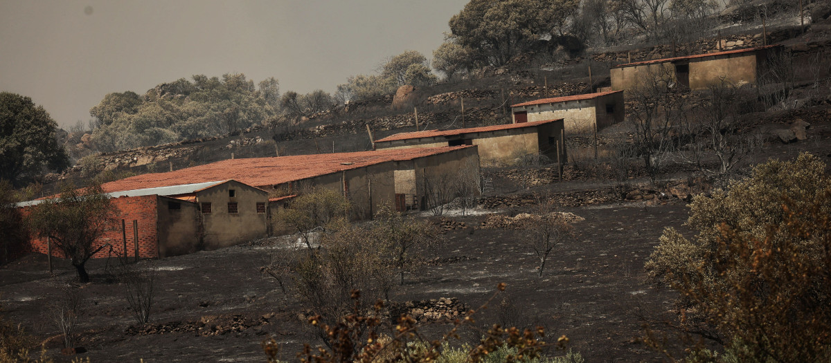 Incendio forestal en Fermoselle (Zamora)