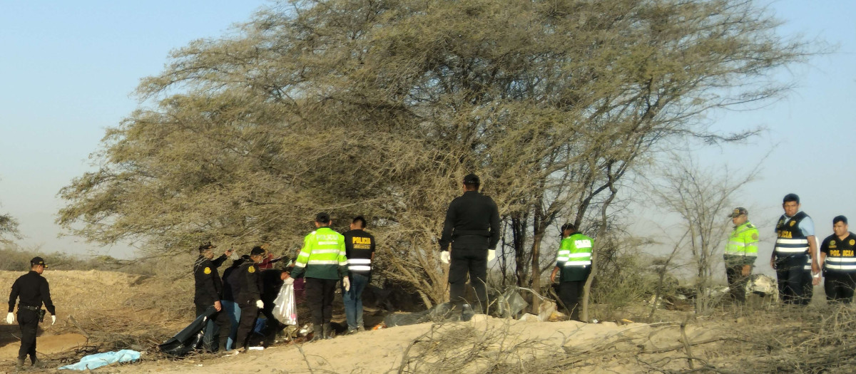 Miembros de la Policía de Perú operan en la zona donde se ha siniestrado la avioneta