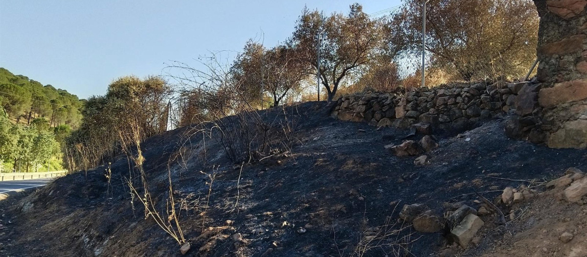 Incendio en Villaviciosa de Córdoba
