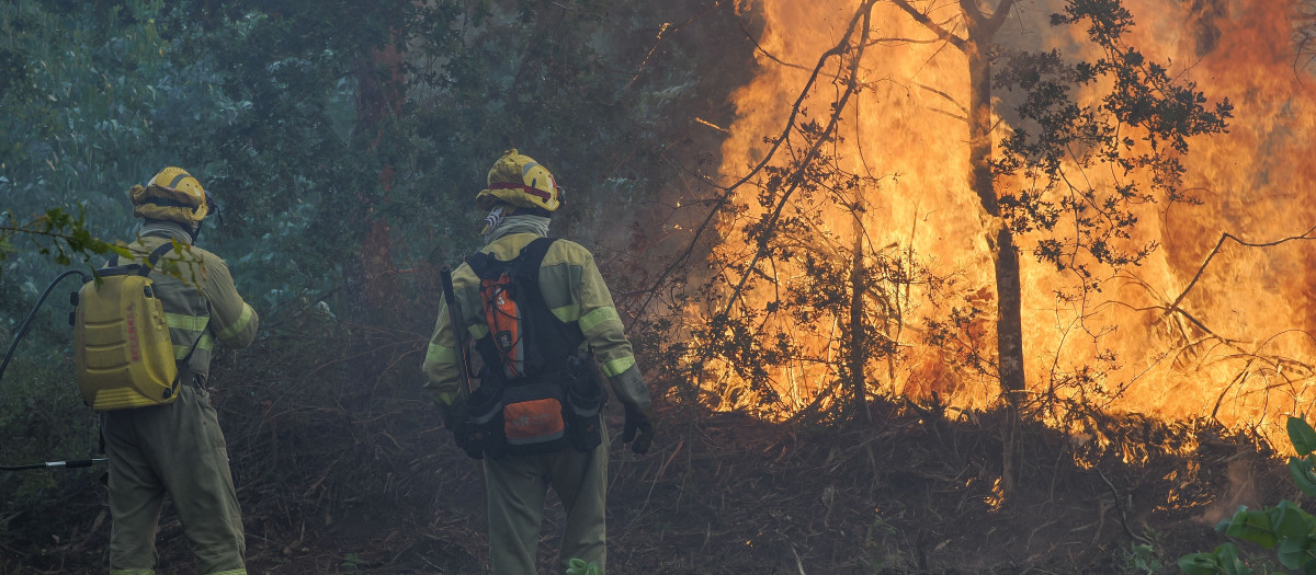 Bomberos forestales y unidades aéreas trabajan en la extinción de un incendio