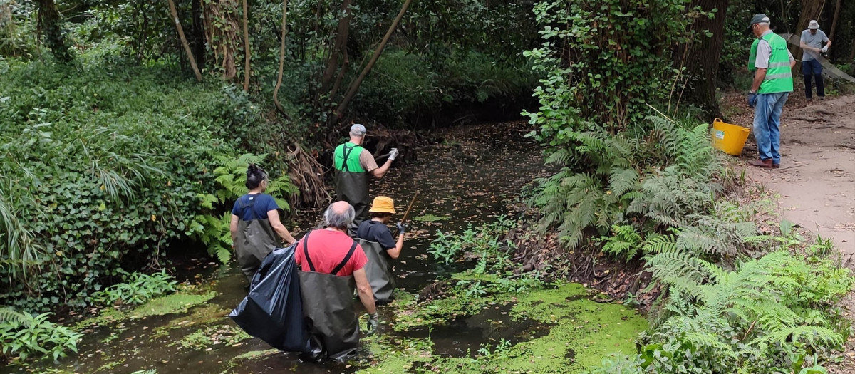 Voluntarios participan en una jornada de limpieza del río Gafos, en Pontevedra