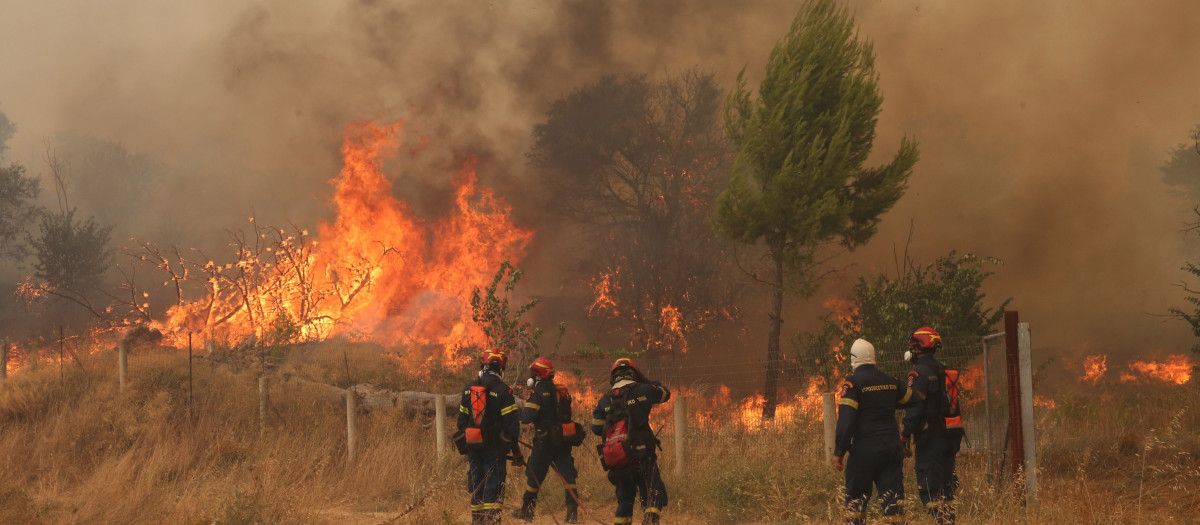 Bomberos combaten un incendio forestal en los alrededores de Mégara, en la región de Ática (Grecia)