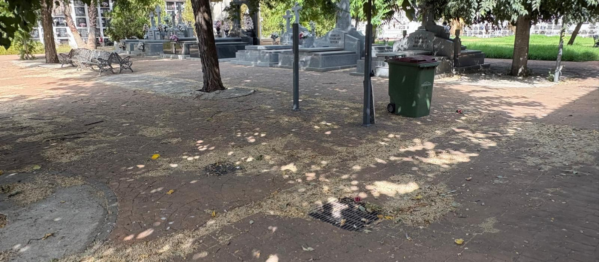 Estado del cementerio de San Rafael (Córdoba)