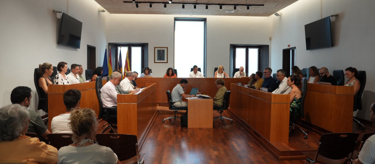 Un momento del pleno celebrado en el Ayuntamiento de Ibiza este martes.