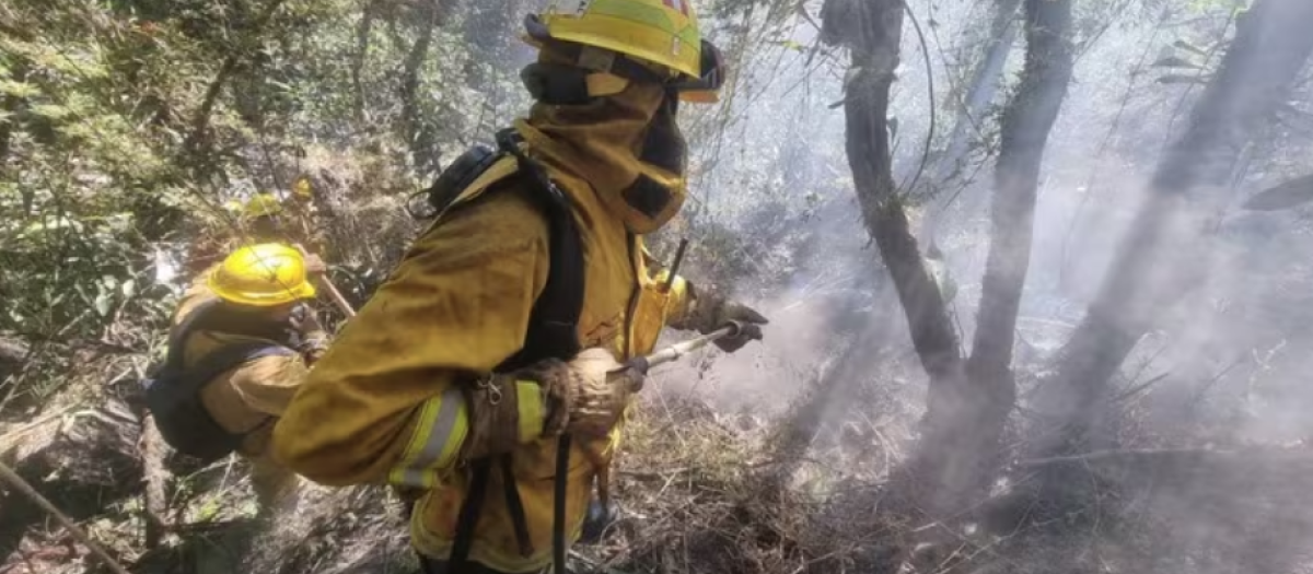 Bomberos trabajan en el incendio forestal en Machu Picchu