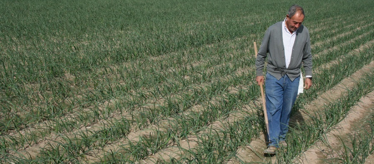 Imagen de recurso de un agricultor.