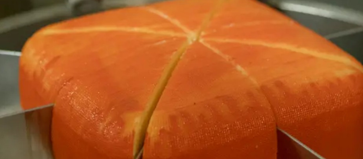 Queso Alcaidús premiado