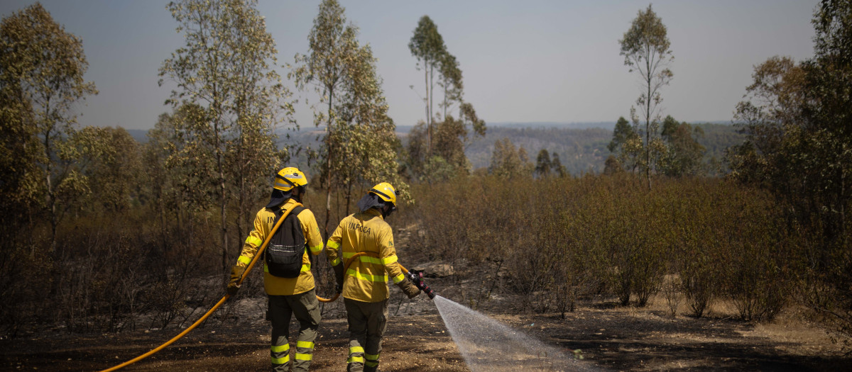Efectivos del Infoca combaten el incendio forestal declarado en la localidad onubense de Niebla. A 7 de agosto de 2028 en Niebla, Huelva (Andalucía, España). El Plan de Emergencias por Incendios Forestales de Andalucía (Plan Infoca) ha aumentado de 80 a 150 los efectivos que trabajan por tierra este viernes para contener el incendio forestal declarado el jueves por la tarde en el paraje Raboconejo de Niebla (Huelva), que continúa en fase de emergencia, situación operativa 1, y que ha obligado al alejamiento preventivo de 23 habitantes de las aldeas de Raboconejo y Caballón. Igualmente, en la zona continúan trabajando 18 medios aéreos.

Clara Carrasco / Europa Press