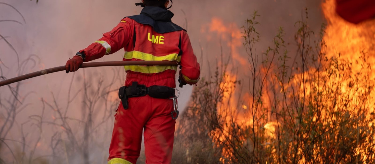 Trabajos de extinción del incendio en el paraje Raboconejo de Niebla (Huelva).

CLARA CARRASCO / EUROPA PRESS
08/8/2026
