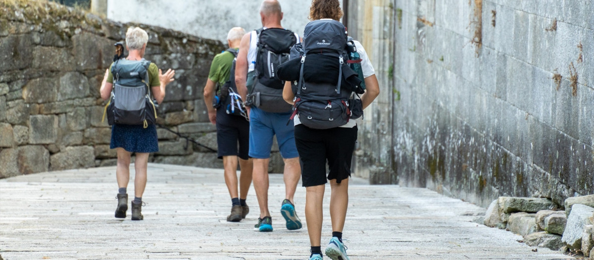Peregrinos realizando el Camino de Santiago
