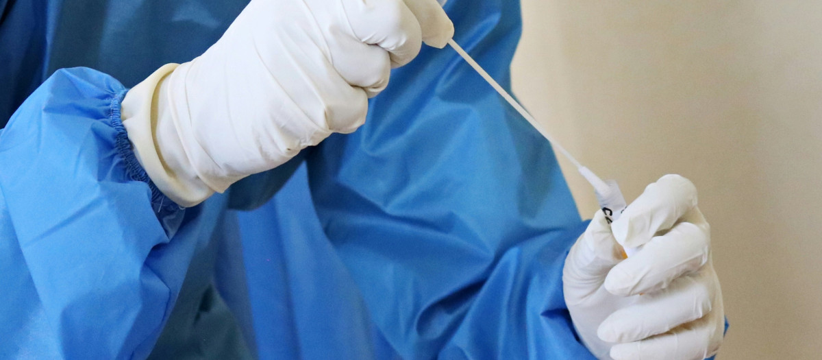 Alta para el contagiado de Hantavirus aislado en Galicia: da negativo en la PCR y vuelve a su país

Europa Press
18/5/2026
