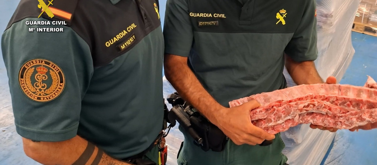Agentes de la Guardia Civil con parte de la mercancía inacutada en la operación 'Médula'.

REMITIDA / HANDOUT por GUARDIA CIVIL
Fotografía remitida a medios de comunicación exclusivamente para ilustrar la noticia a la que hace referencia la imagen, y citando la procedencia de la imagen en la firma
10/8/2026