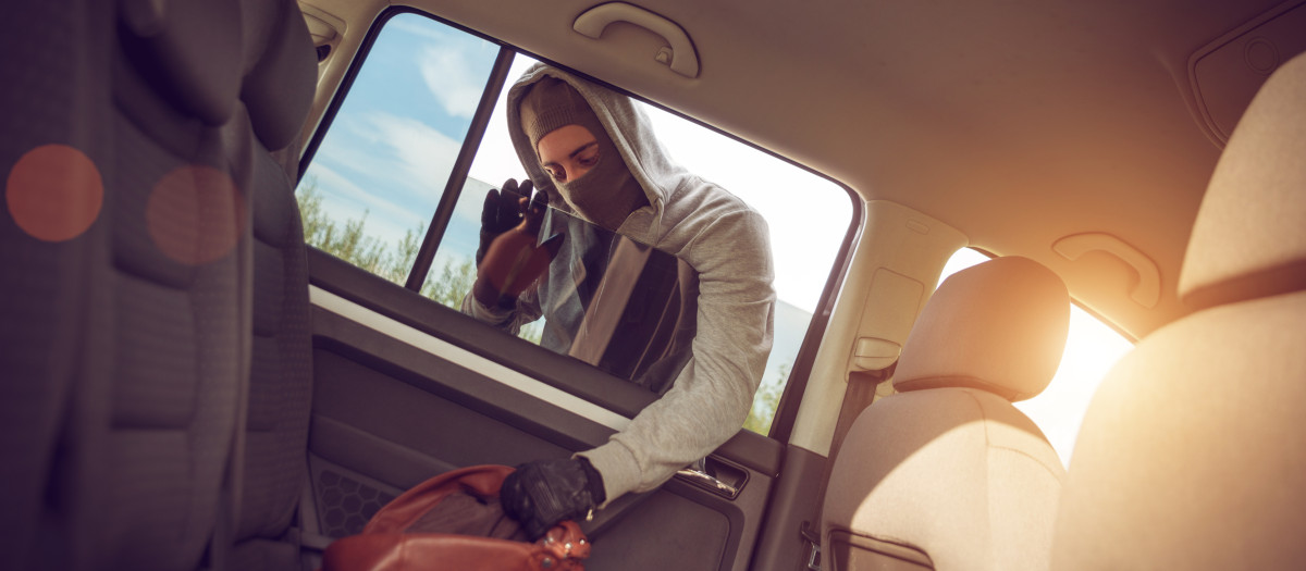 Thief stealing a purse from the car from the car's back window