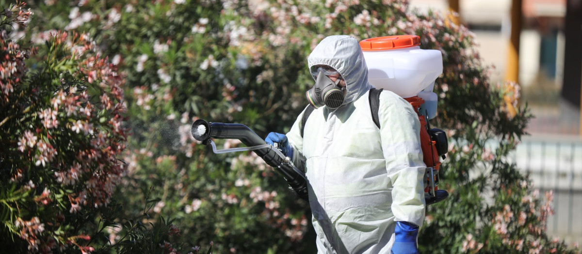 (Foto de ARCHIVO)
Un operario  inician  las labores de fumigación y el tratamiento de imbornales contra el mosquito para prevenir el Virus del Nilo a 11 de mayo del 2021. En el Parque Municipal Adolfo Cantalejo Suárez de Coria del Río (Sevilla). Andalucía

María José López / Europa Press
11/5/2021