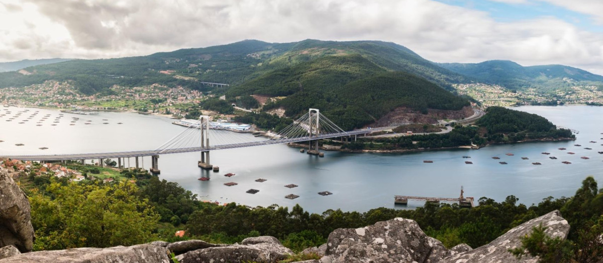 Investigan a cinco jóvenes tras incendiar un islote protegido de Galicia donde habían acampado