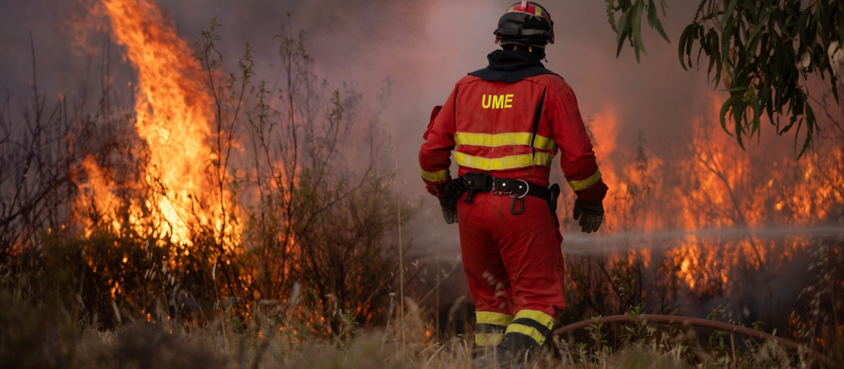 (Foto de ARCHIVO)
El incendio de Niebla (Huelva) continúa activo con más de 4.000 hectáreas afectadas. A 8 de agosto de 2026 en Niebla (Huelva, Andalucía, España). El incendio forestal declarado este pasado jueves en el paraje Raboconejo de Niebla (Huelva) supera la 4.000 hectáreas de extensión y mantiene activada la fase de emergencia, situación operativa 2, ante los continuos cambios de viento que están dificultando las labores de más de 300 efectivos que trabajan en su extinción.

Clara Carrasco / Europa Press
08/8/2026