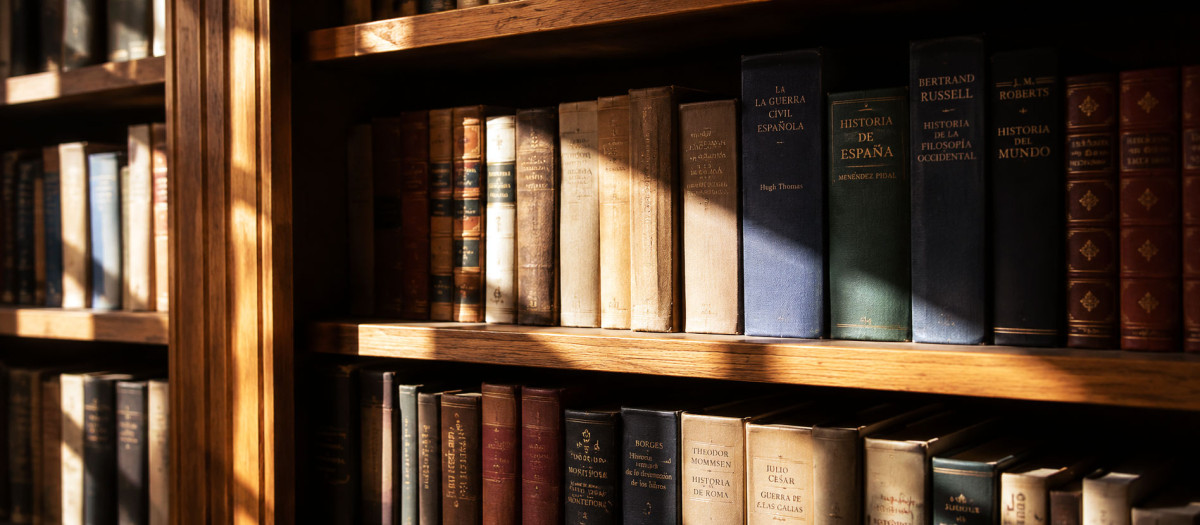Libros en sombra