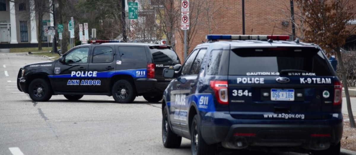 Coches de Policía de Michigan