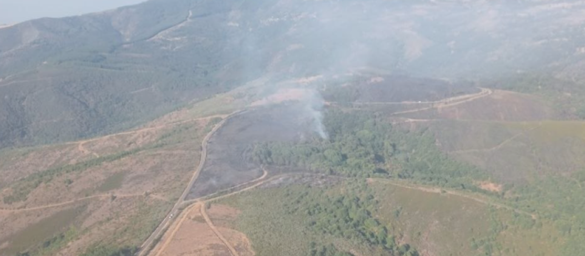 Incendio en La Tejara, Zamora