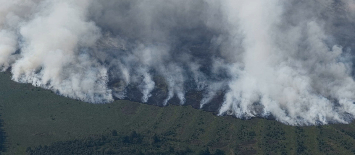 Un incendio forestal en Bélgica a vista de dron