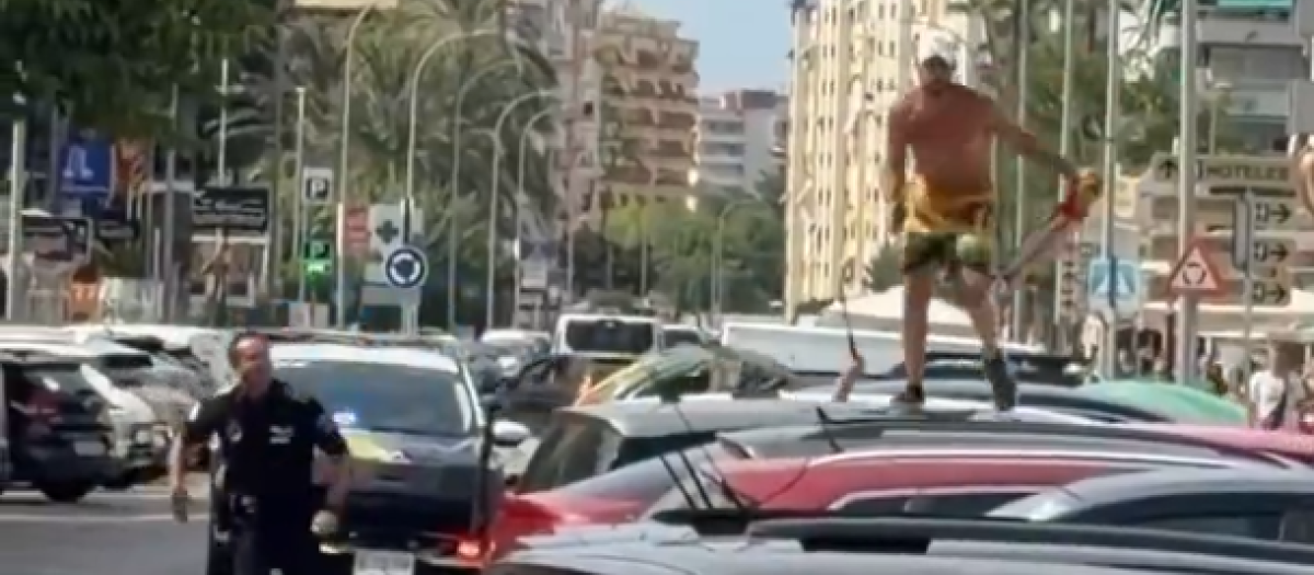 Imagen de un gorrilla intentando huir de la Policía Local en Gandía.