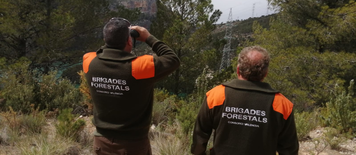Imagen de archivo de dos agentes de las Brigadas Forestales de la Diputación de Valencia.