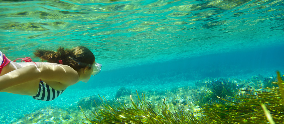 Bucear en las transparentes aguas del archipiélago, todo un lujo
