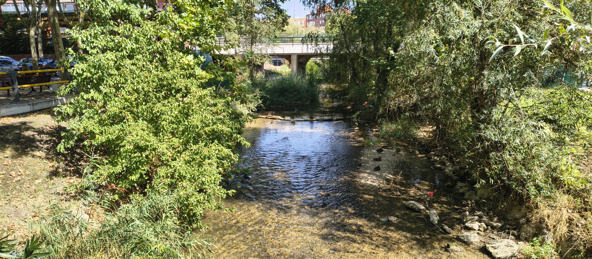 El río Esgueva a su paso por Valladolid capital