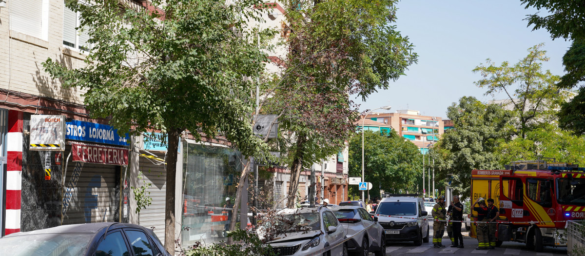 Destrozos causados por los terremotos registrados este martes en Granada