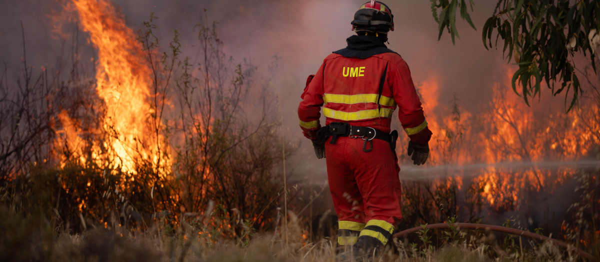 Efectivos de la UME tratan de sofocar el incendio de Niebla (Huelva) que ha calcinado más de 33.000 hectáreas