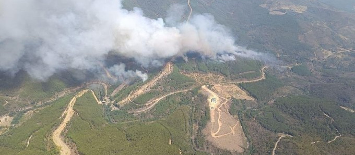 Incendio forestal en Pinofranqueado a las 16:00 horas de este martes

REMITIDA / HANDOUT por INFOEX
Fotografía remitida a medios de comunicación exclusivamente para ilustrar la noticia a la que hace referencia la imagen, y citando la procedencia de la imagen en la firma
18/8/2026