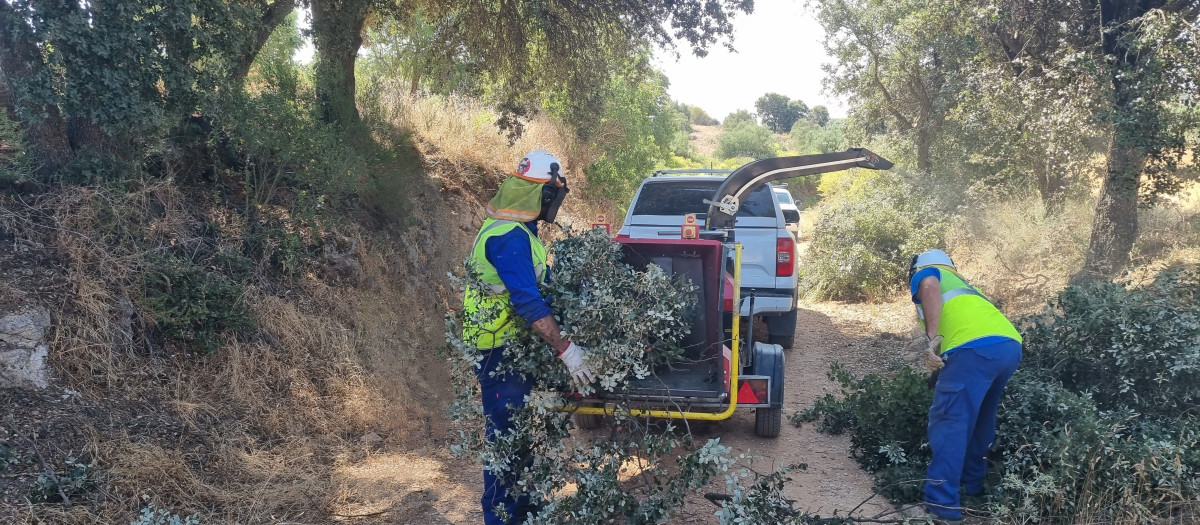 Madrid mejora cerca de 18 kilómetros de caminos rurales en Fuentidueña de Tajo y Brea de Tajo este verano