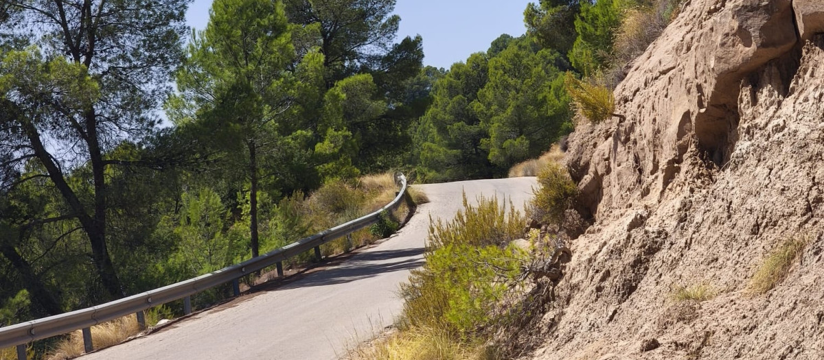 Imagen del camino del Pansero