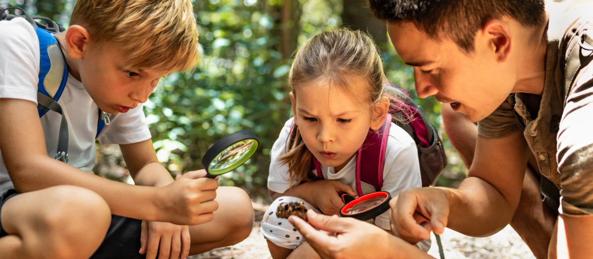 Un padre, junto a sus hijos, buscando insectos en un bosque