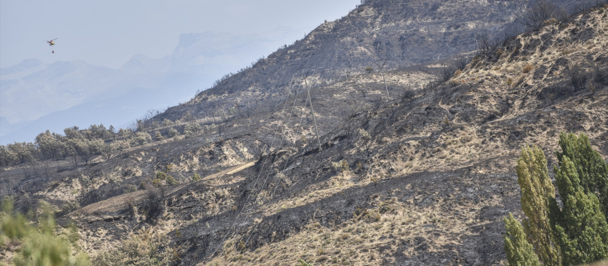 Vista de zonas calcinadas por el incendio de Riglos
