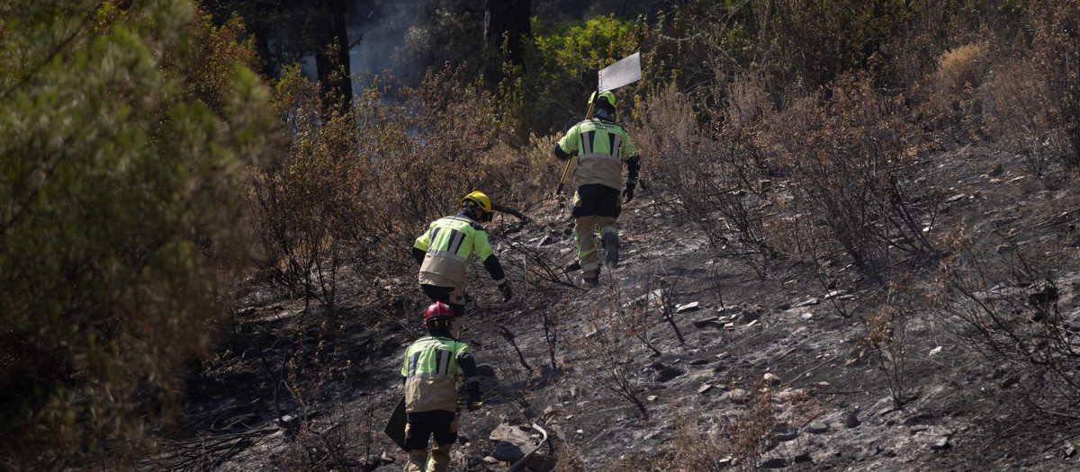 Bomberos trabajan en el incendio de Niebla (Huelva), en una imagen de la pasada semana
