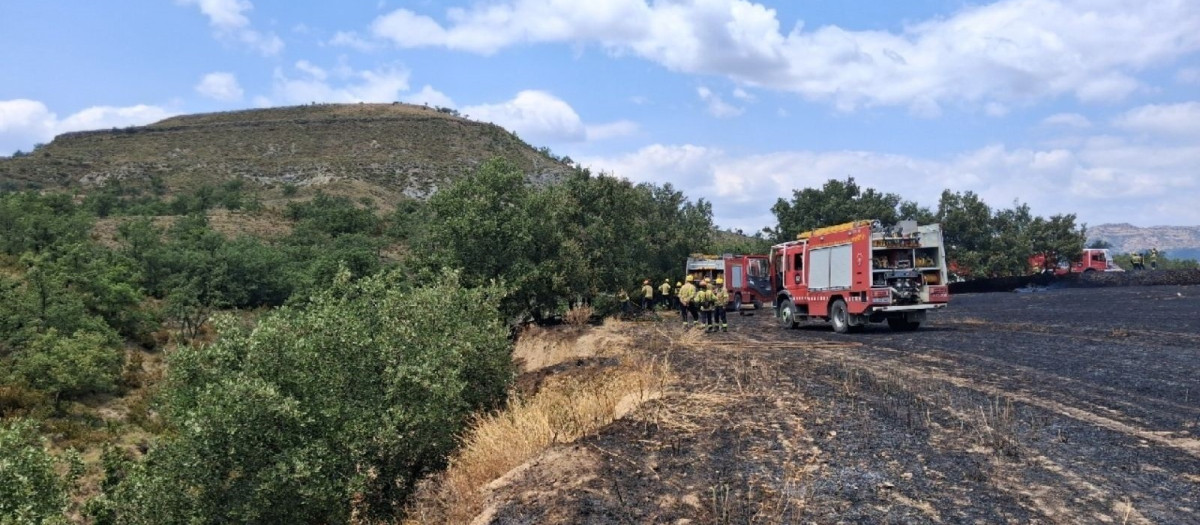 Miembros del cuerpo de Bomberos de la Generalitat, en una imagen reciente