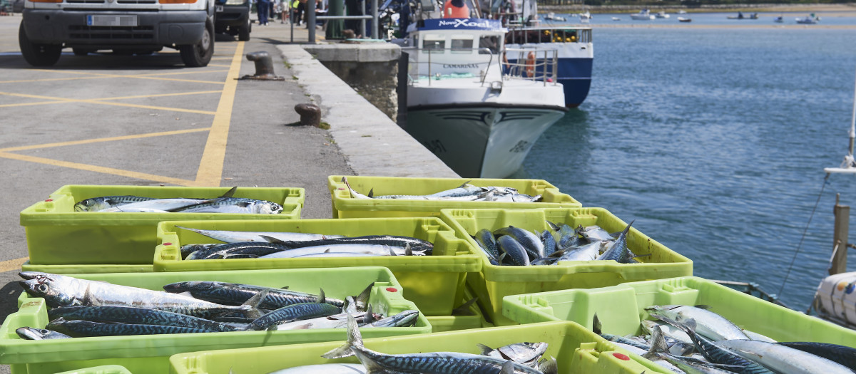 Cajas de pescado en las inmediaciones donde está amarrado un barco gallego