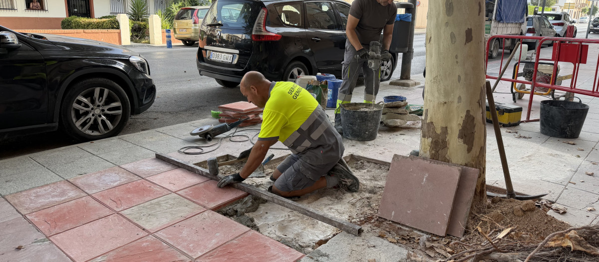Reparación de alcorques Avenida de la Estación de Puente Genil