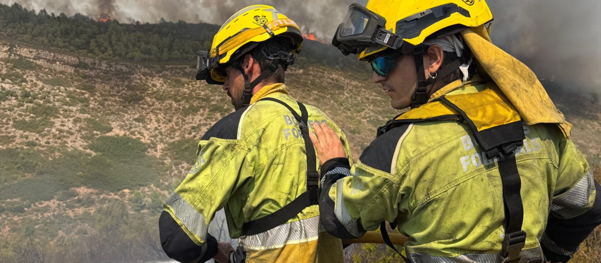 Imagen de bomberos trabajando en la extinción del incendio de Segorbe (Castellón)

REMITIDA / HANDOUT por CONSORCIO PROVINCIAL CASTELLÓN
Fotografía remitida a medios de comunicación exclusivamente para ilustrar la noticia a la que hace referencia la imagen, y citando la procedencia de la imagen en la firma
21/8/2026