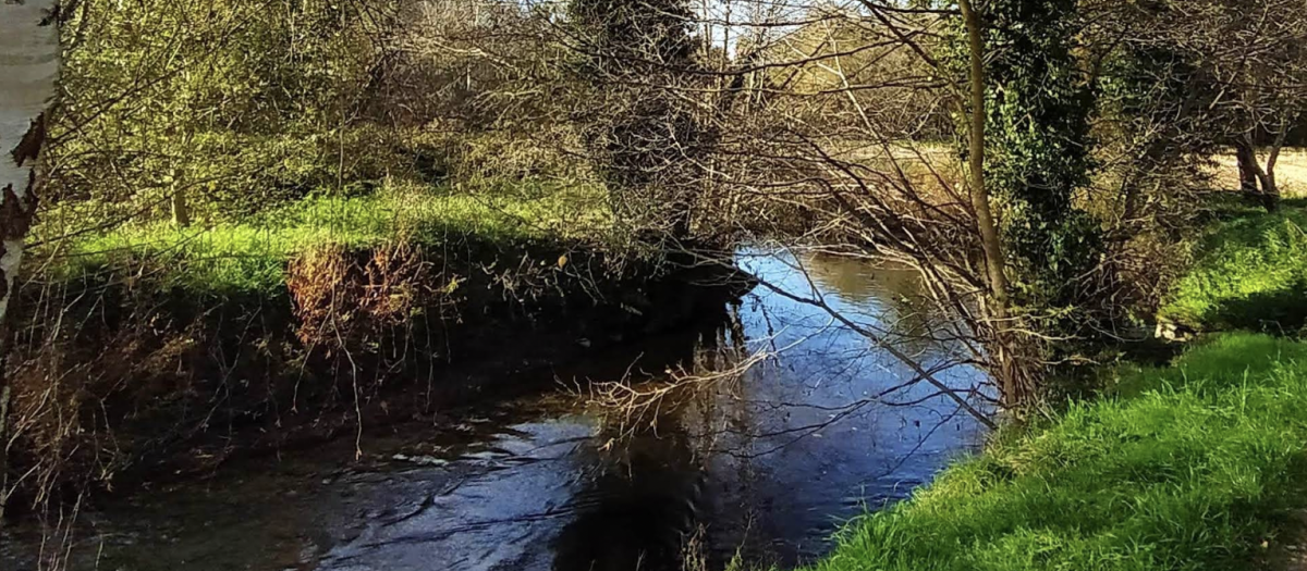 Río Anllóns
