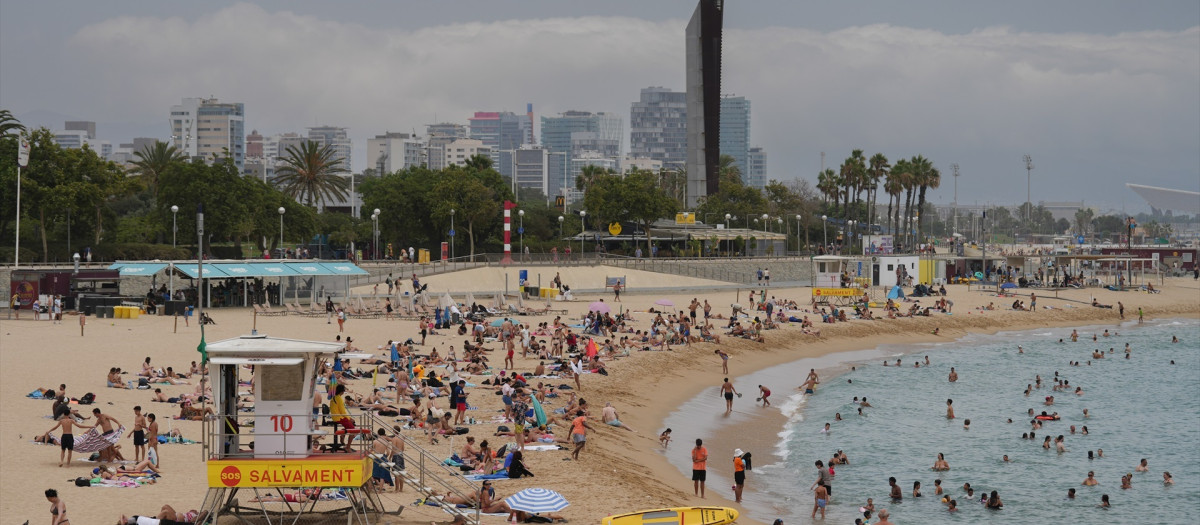 Bañistas toman el sol y se bañan en las playas de Barcelona