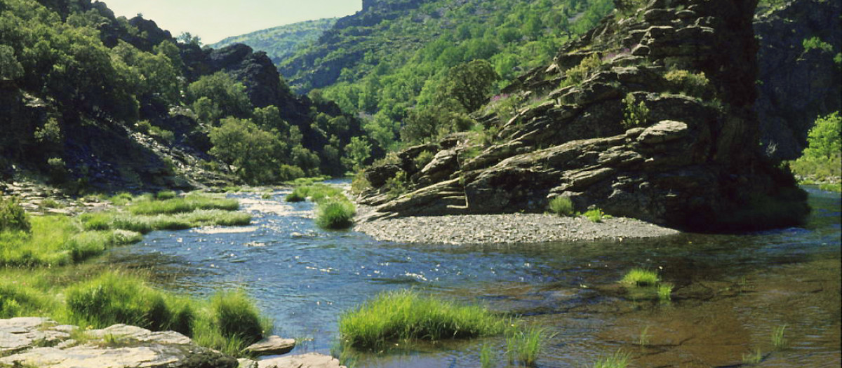 Ecologistas critica que el Canal de Isabel II reclama 50 millones de m3 del río Sorbe
